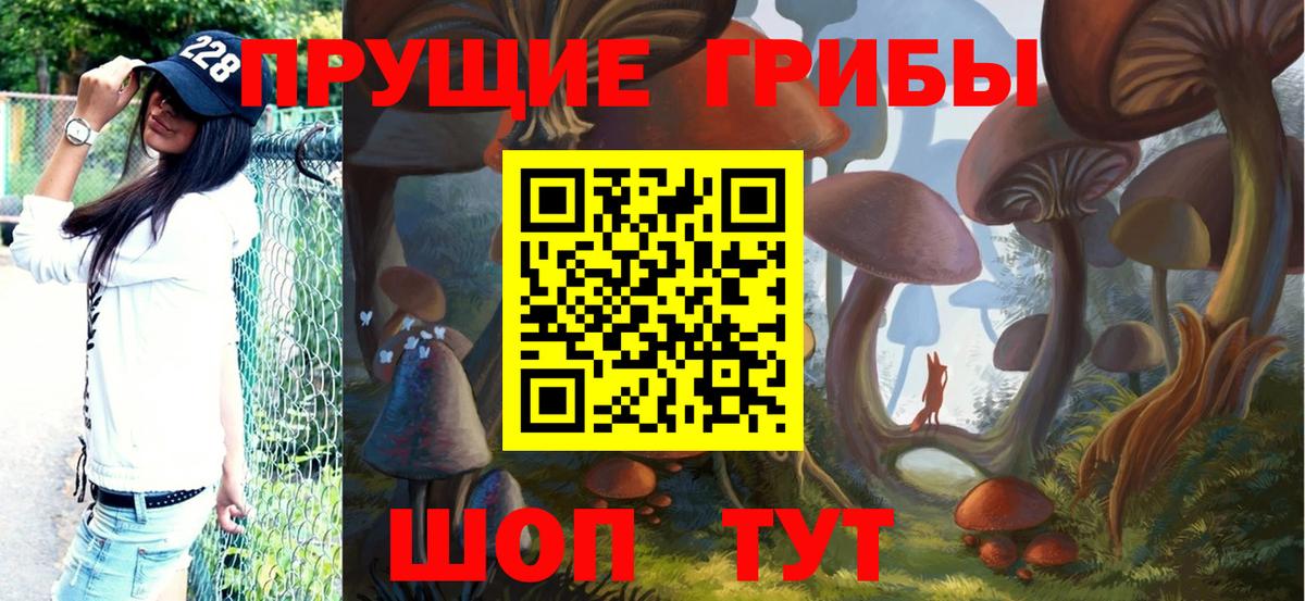 Галлюциногенные грибы Cubensis Сухой Лог
