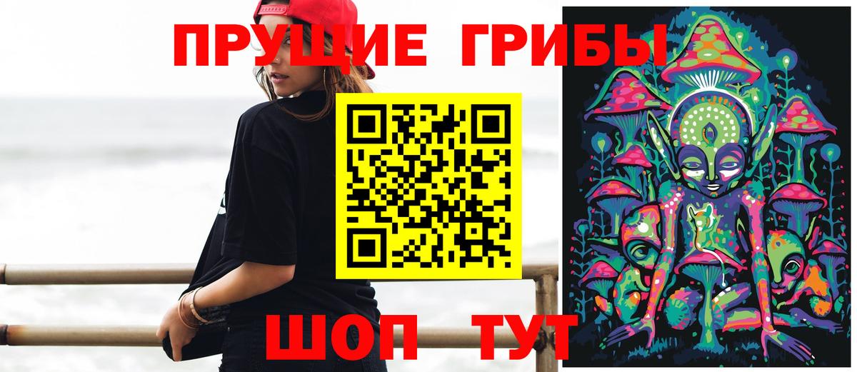 Сухой Лог  Псилоцибиновые грибы мухоморы  наркота  Вход с VPN 
